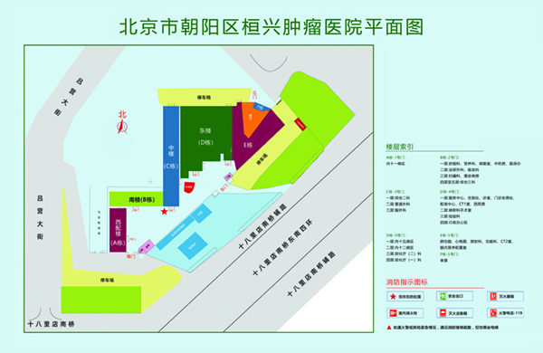 小鸡鸡干大蜜桃北京市朝阳区桓兴肿瘤医院平面图